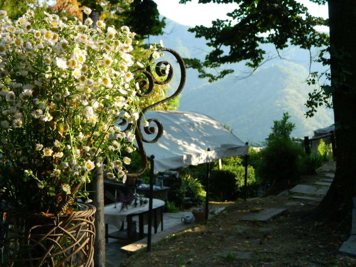 Casa Emilia Villa Stazzema Екстериор снимка