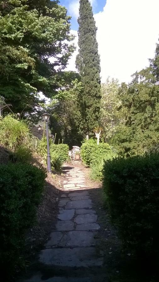 Casa Emilia Villa Stazzema Екстериор снимка