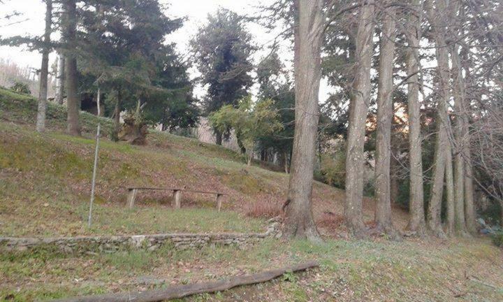 Casa Emilia Villa Stazzema Екстериор снимка