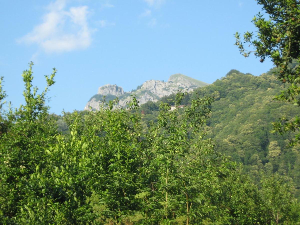 Casa Emilia Villa Stazzema Екстериор снимка